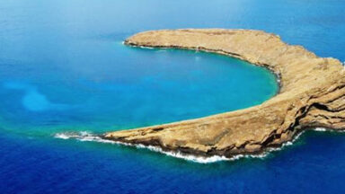 Maui Vacation Tip: Try Snorkeling at Molokini and Turtle Town