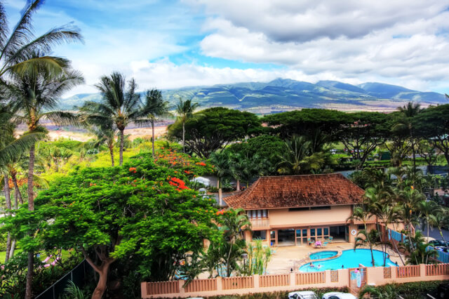 Maui Vacation Tips: A Sweet Way to Spend the Day