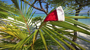 Celebrate December In Maui