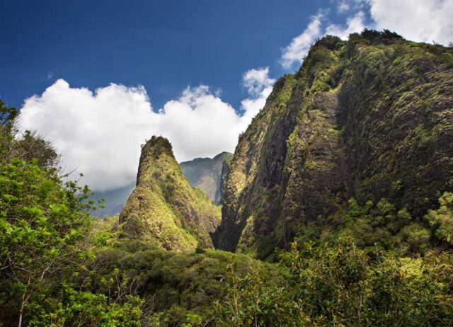Explore Maui's ʻĪao Valley Gardens