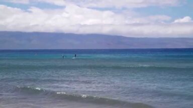 Watch the Humpback Whales From Your Balcony at Maui Kai!