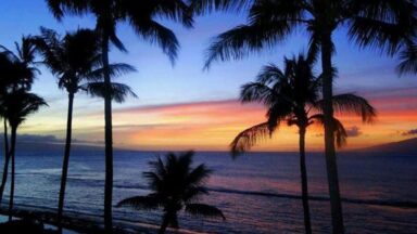 Maui travel tips
